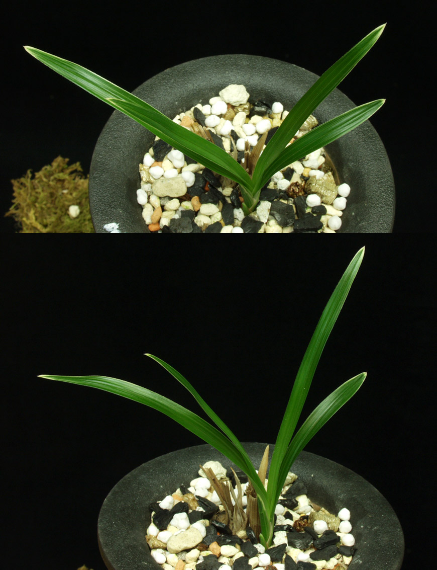 ������ ū������ �� �� �ֽ��ϴ�.