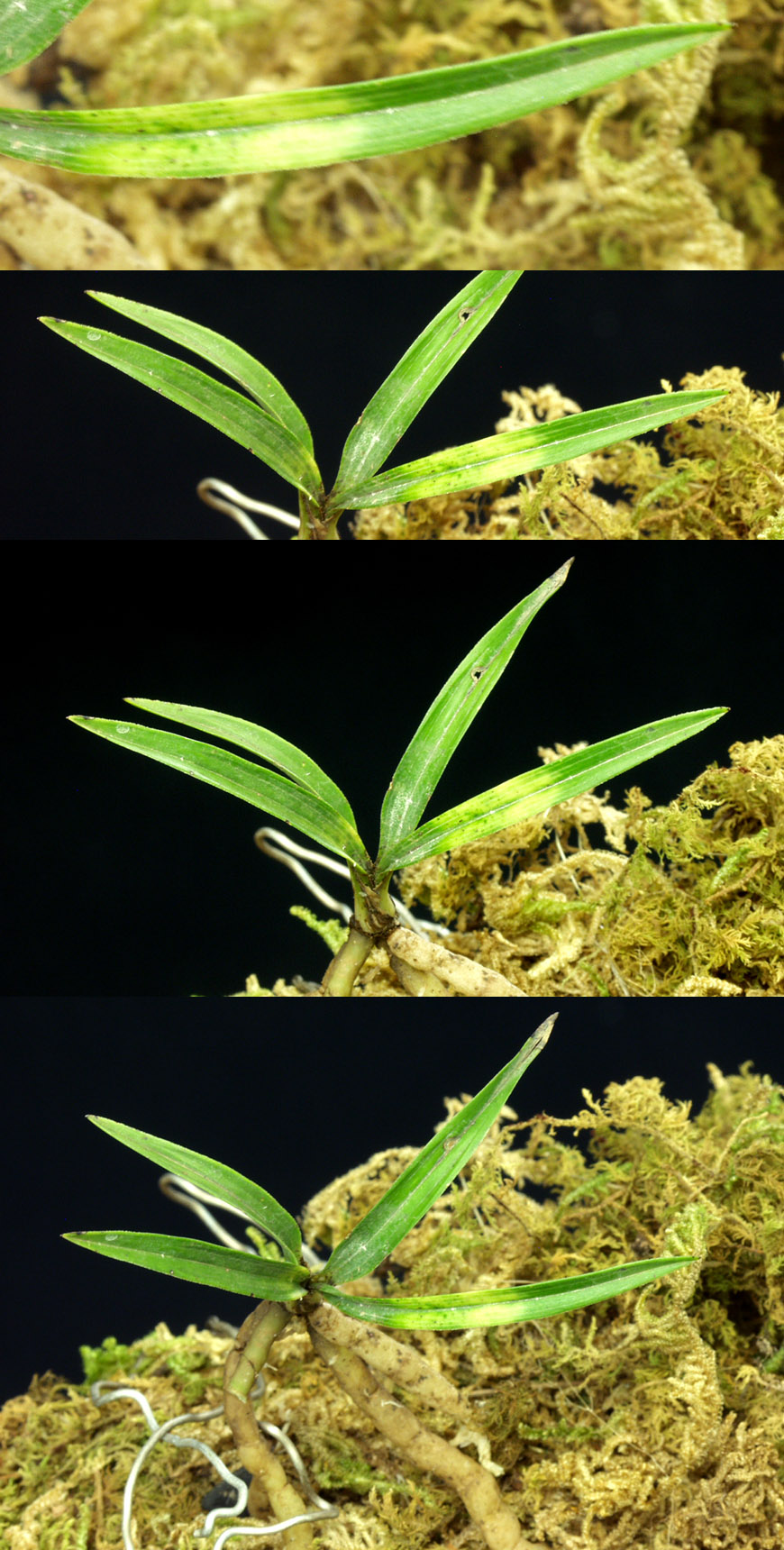 ������ ū������ �� �� �ֽ��ϴ�.