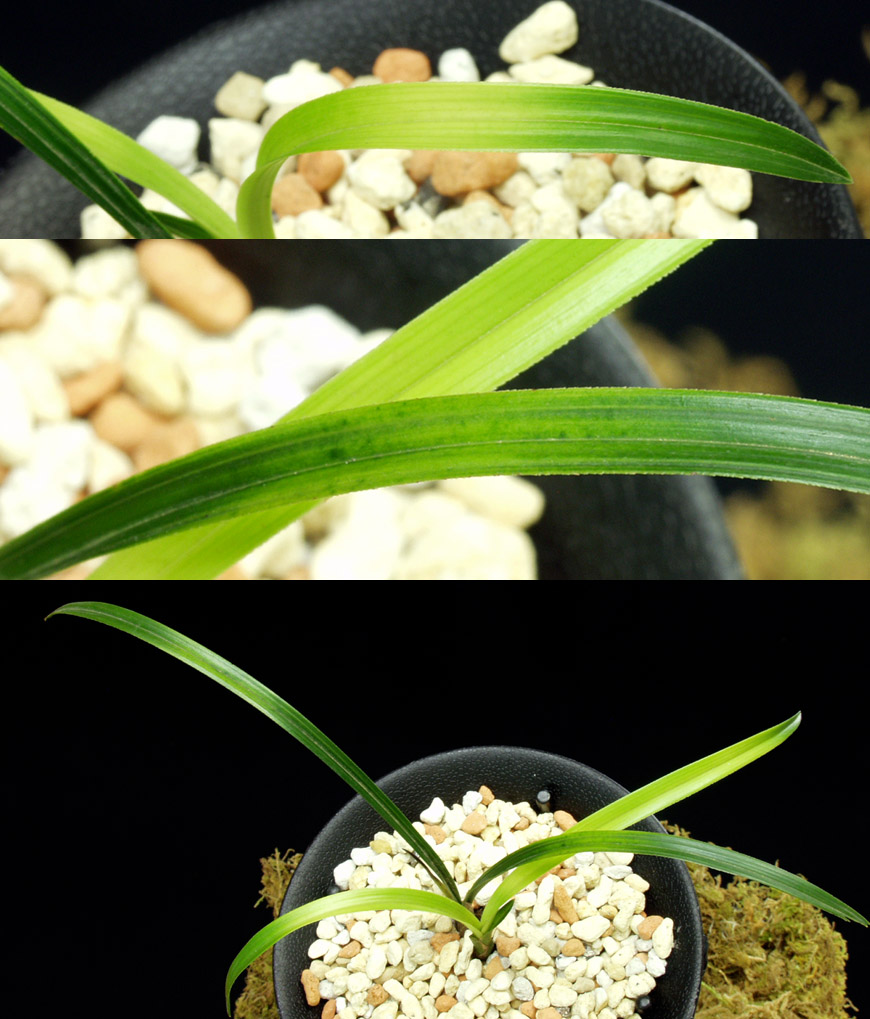 ������ ū������ �� �� �ֽ��ϴ�.