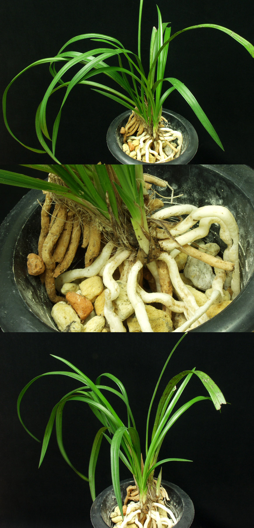 ������ ū������ �� �� �ֽ��ϴ�.