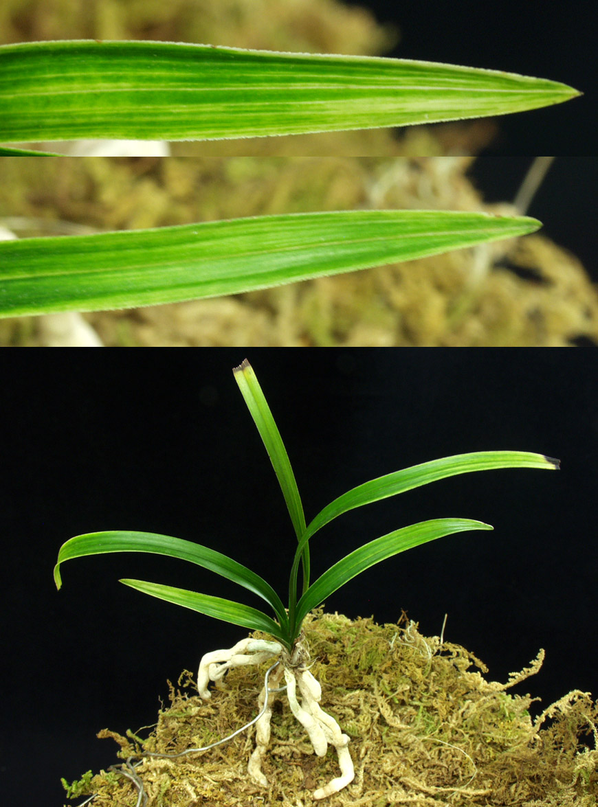 ������ ū������ �� �� �ֽ��ϴ�.