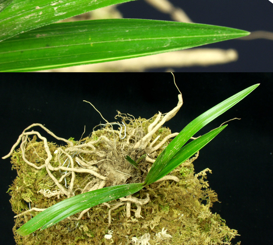 ������ ū������ �� �� �ֽ��ϴ�.