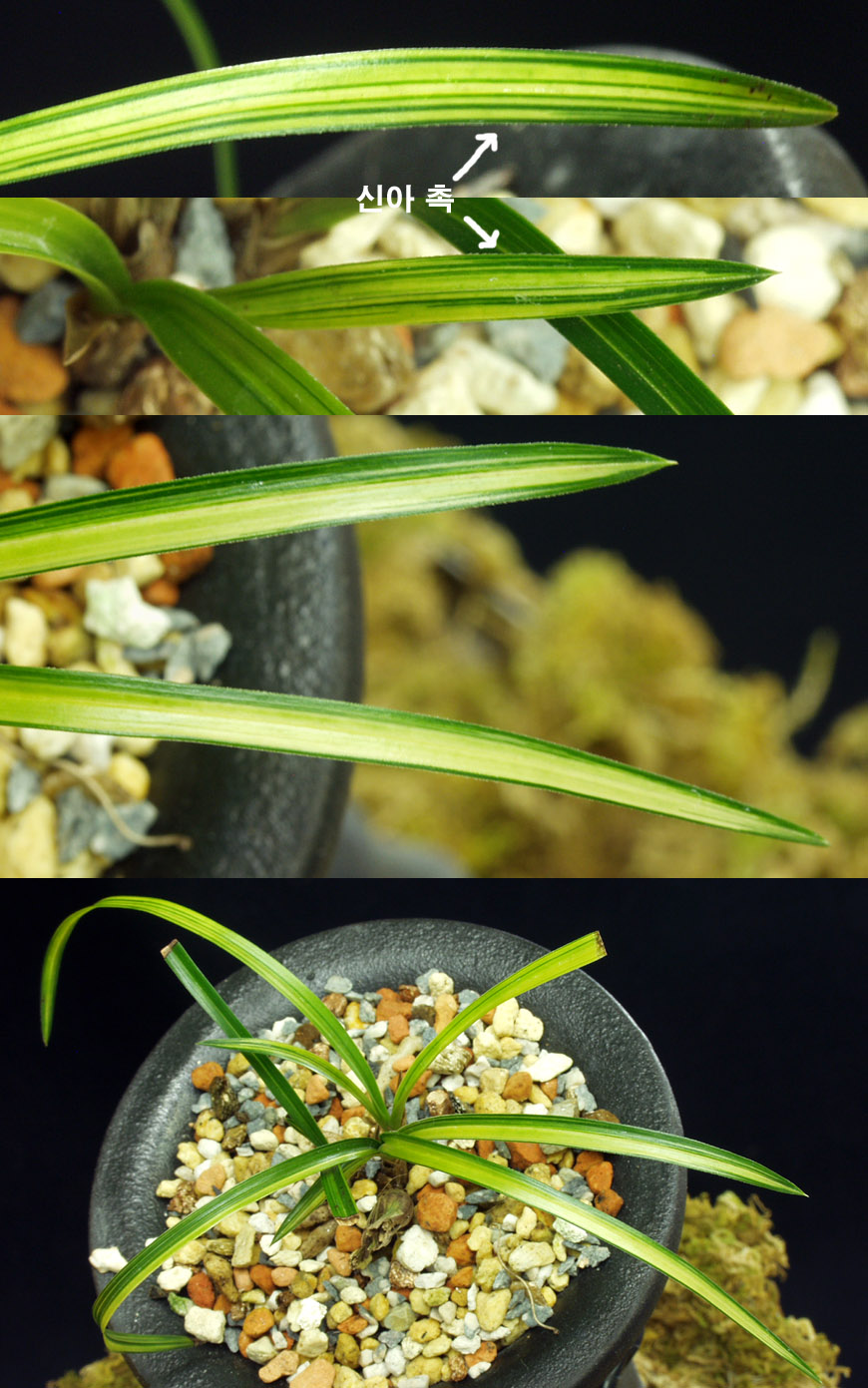 ������ ū������ �� �� �ֽ��ϴ�.