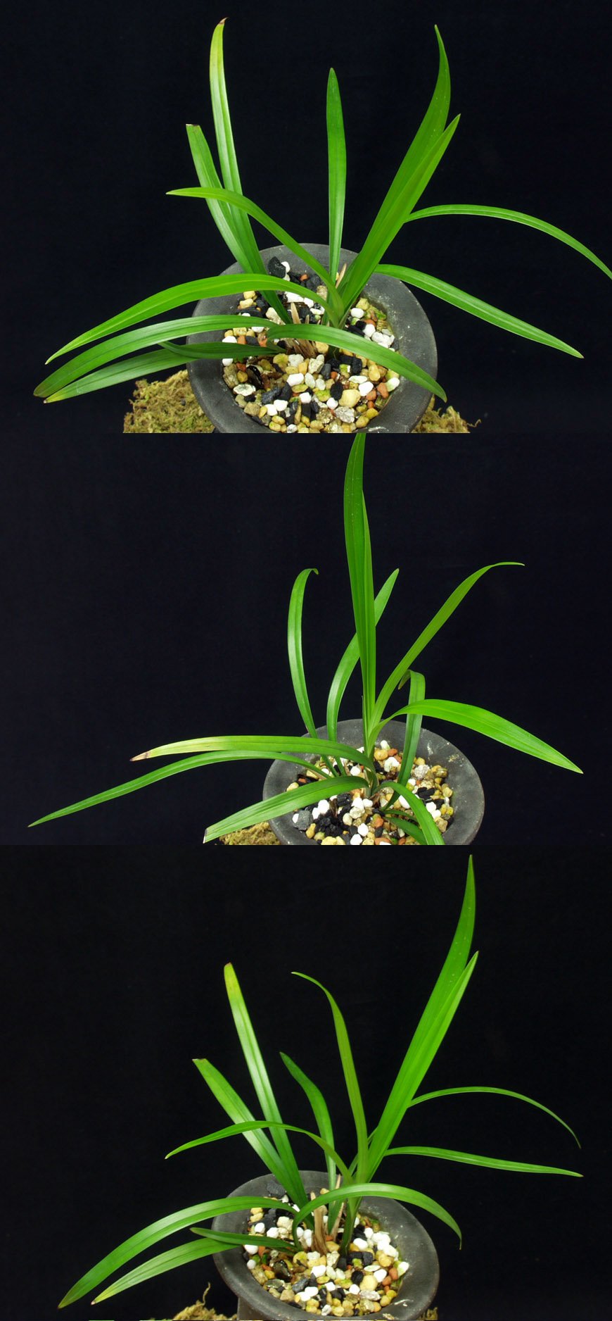 ������ ū������ �� �� �ֽ��ϴ�.