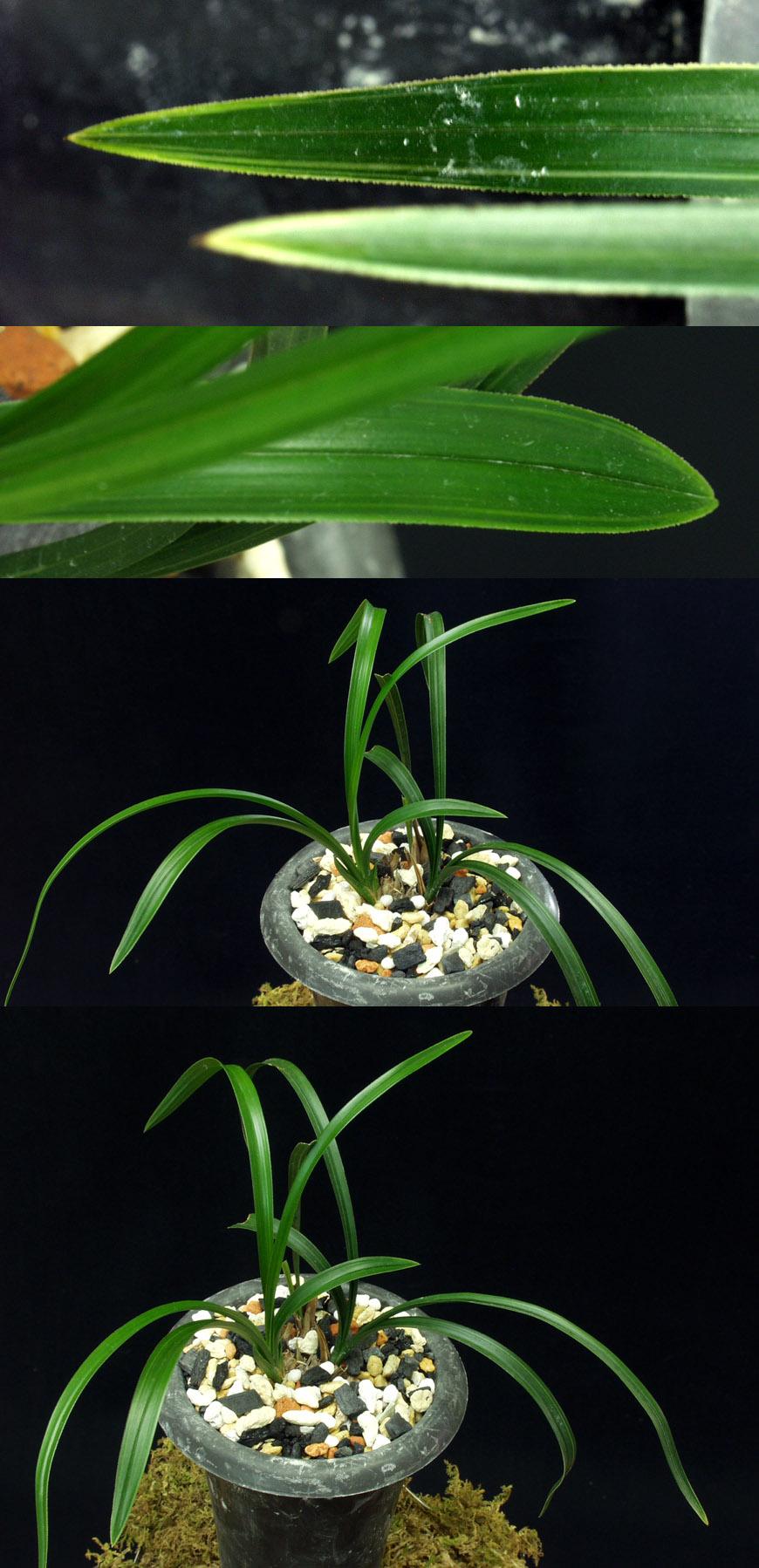 ������ ū������ �� �� �ֽ��ϴ�.