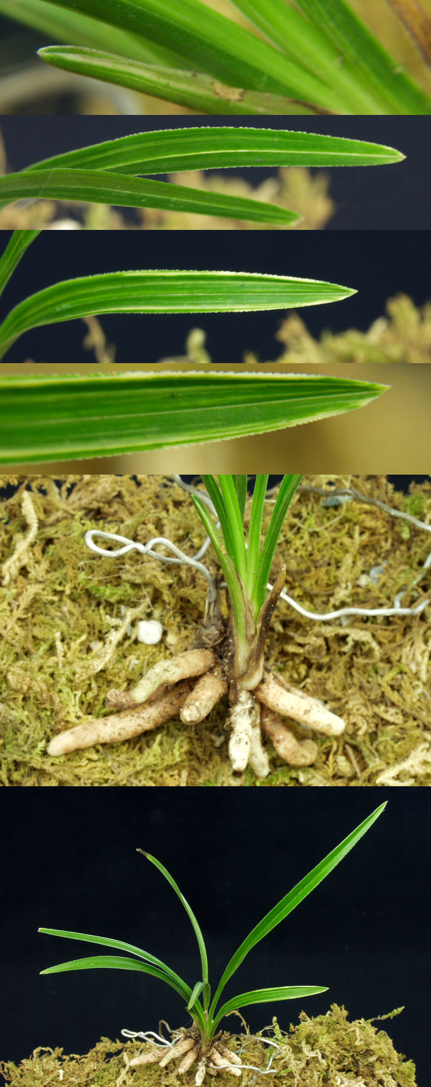 ������ ū������ �� �� �ֽ��ϴ�.