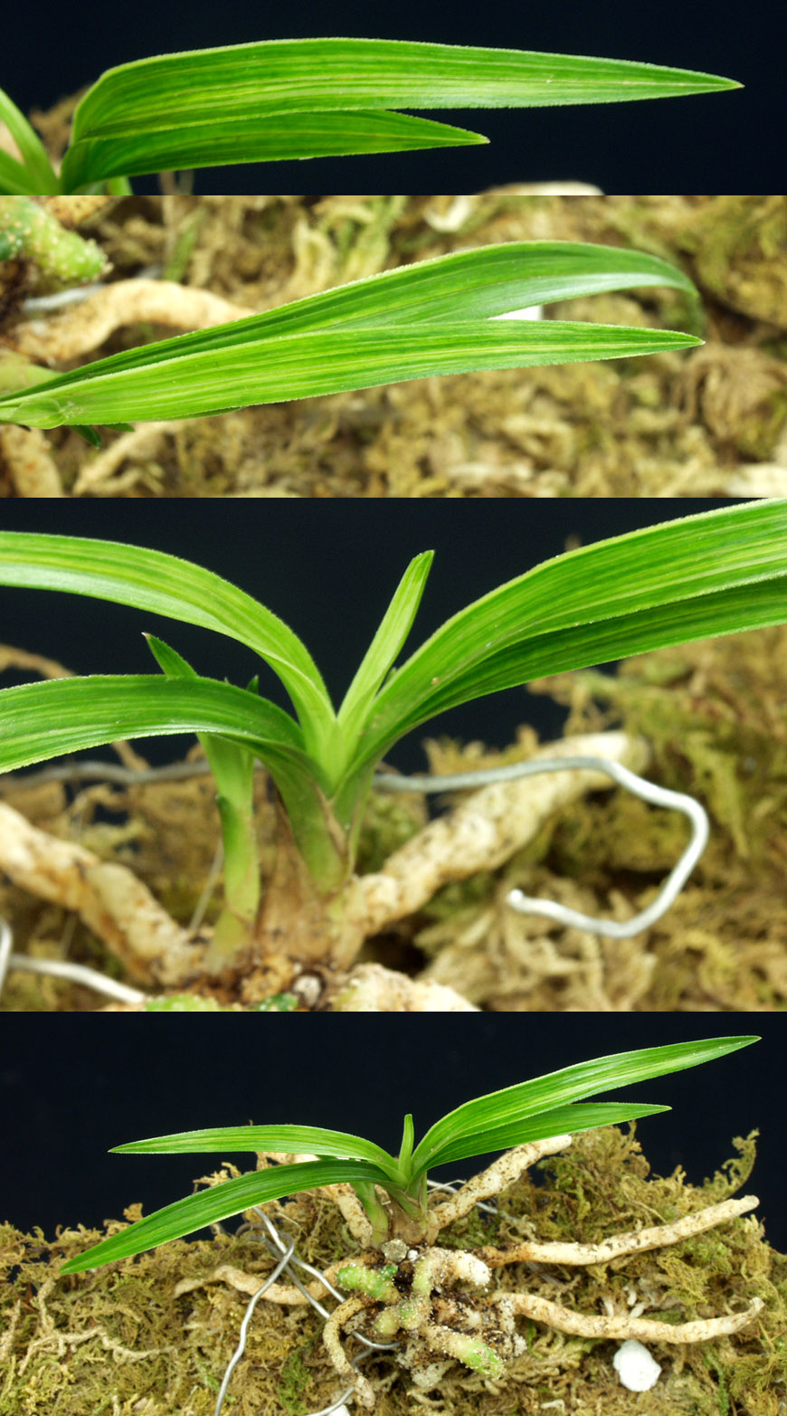 ������ ū������ �� �� �ֽ��ϴ�.