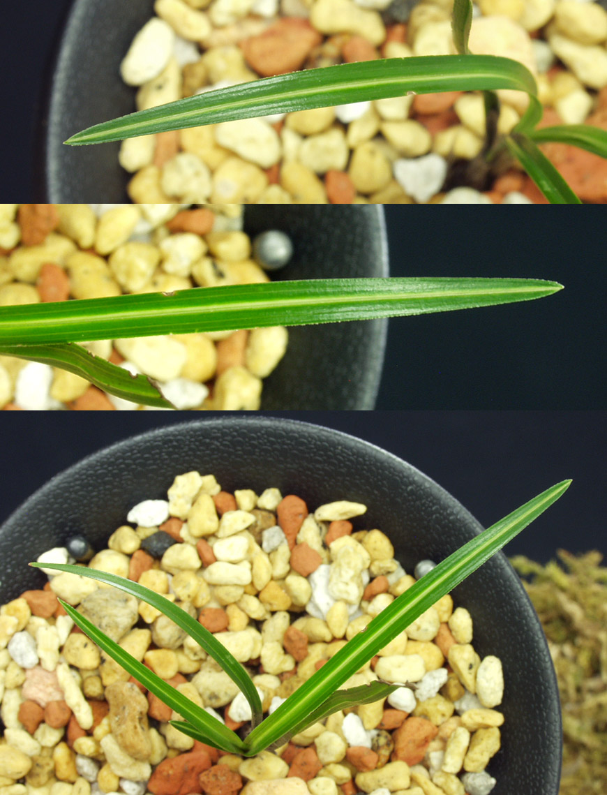 ������ ū������ �� �� �ֽ��ϴ�.