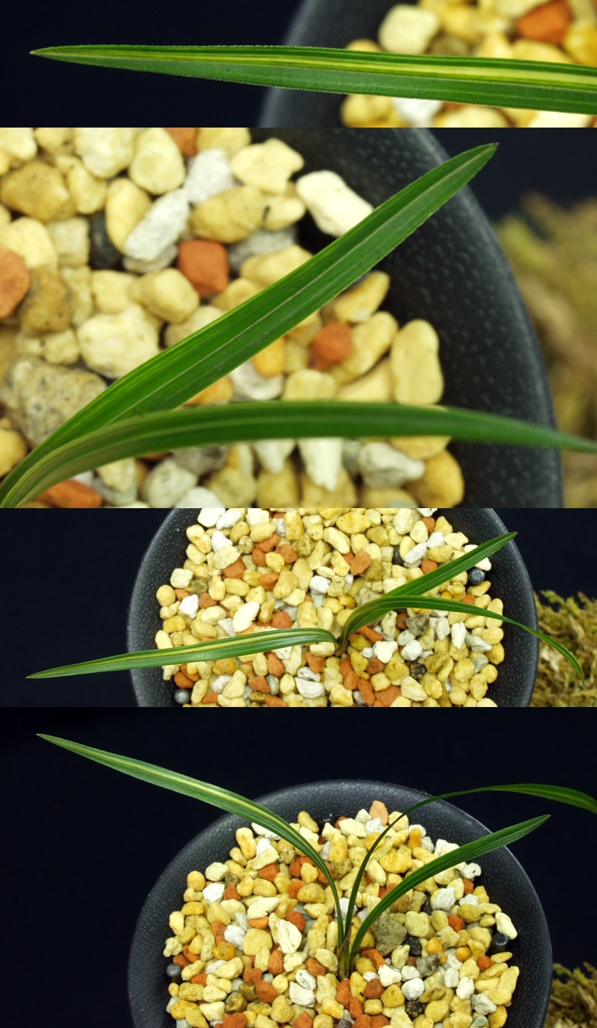 ������ ū������ �� �� �ֽ��ϴ�.