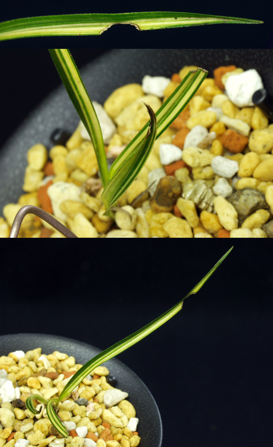 ������ ū������ �� �� �ֽ��ϴ�.