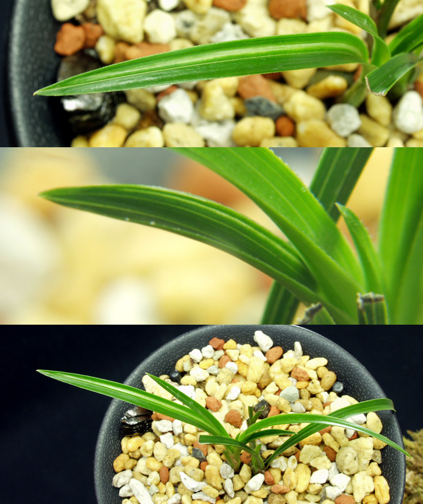 ������ ū������ �� �� �ֽ��ϴ�.