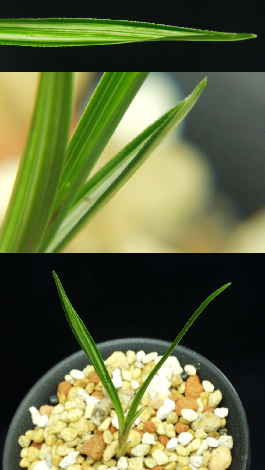 ������ ū������ �� �� �ֽ��ϴ�.