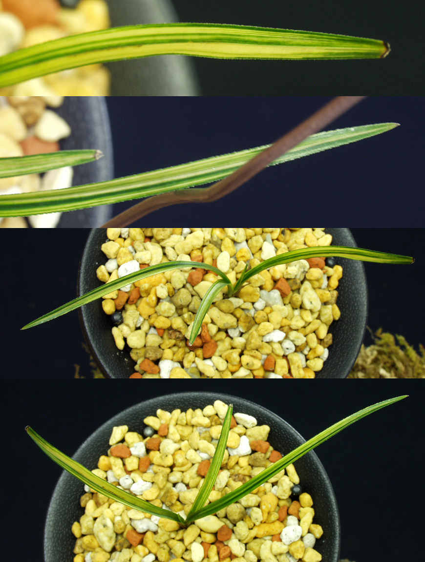 ������ ū������ �� �� �ֽ��ϴ�.