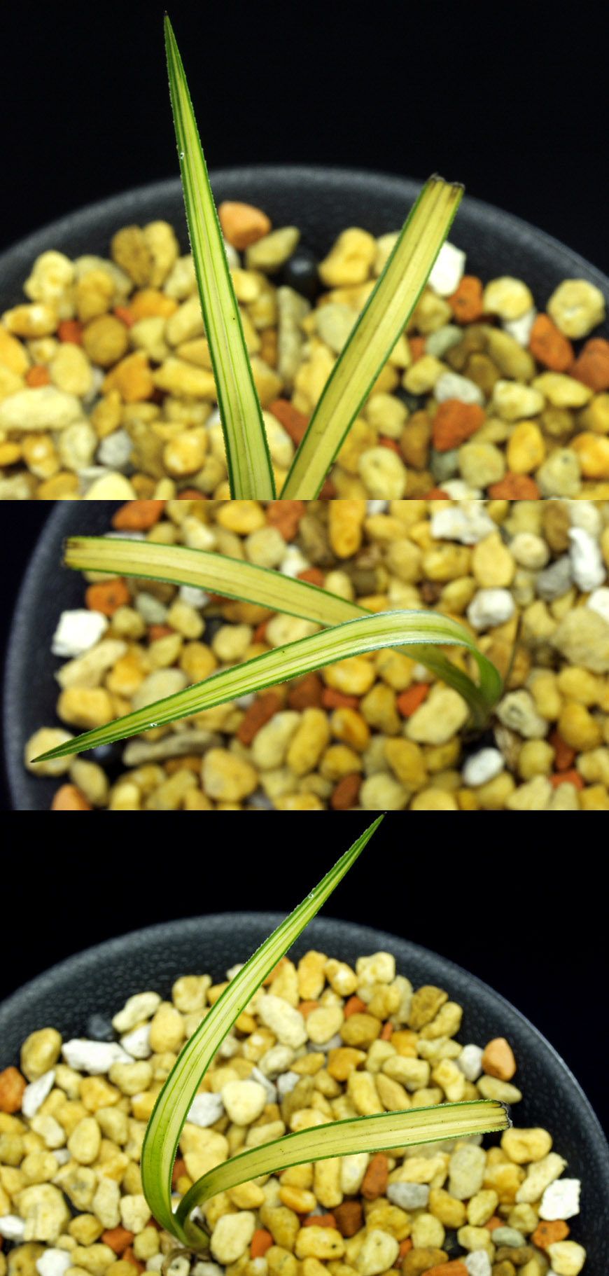 ������ ū������ �� �� �ֽ��ϴ�.