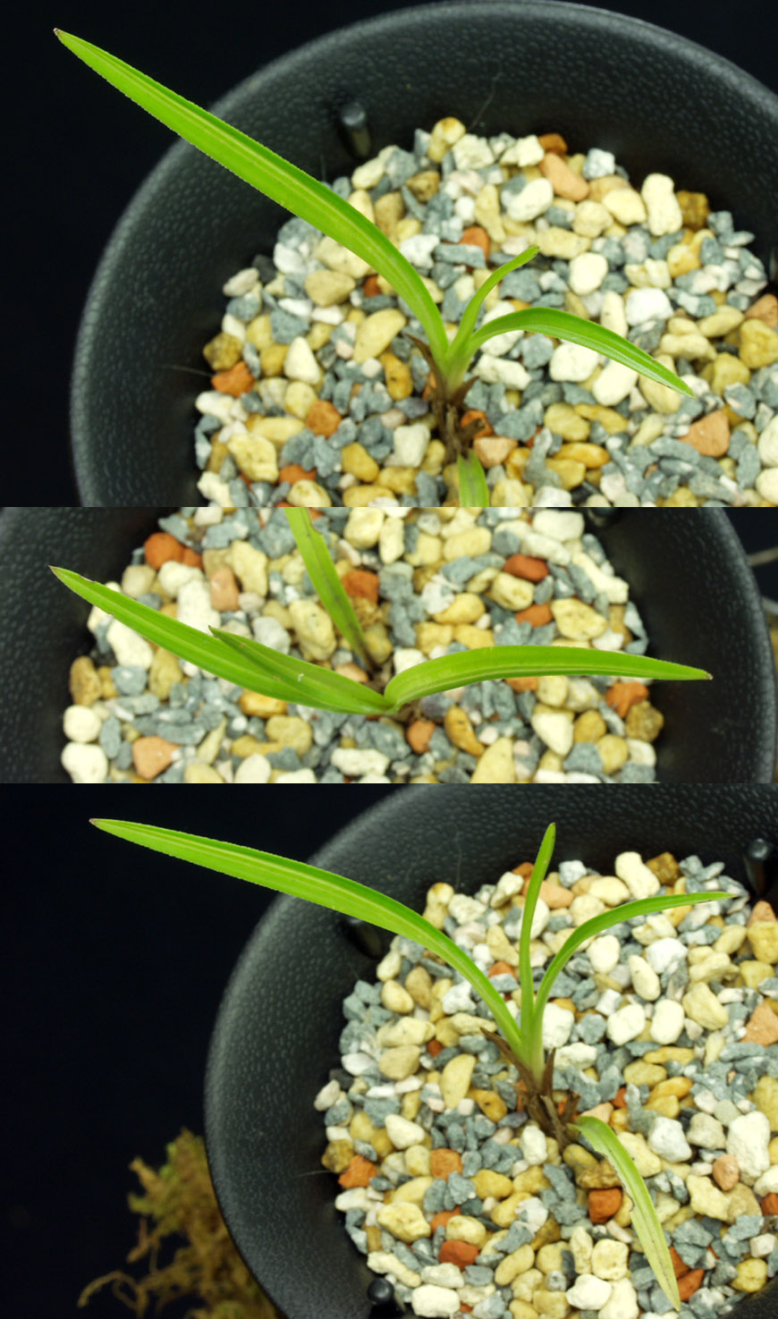 ������ ū������ �� �� �ֽ��ϴ�.