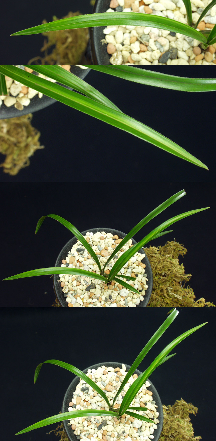 ������ ū������ �� �� �ֽ��ϴ�.