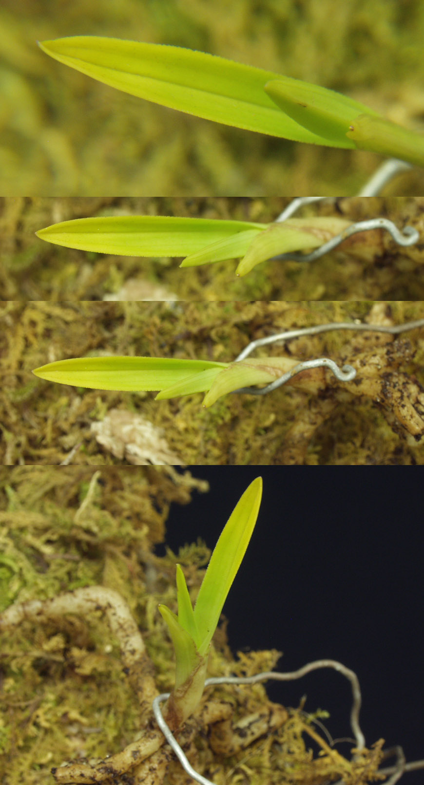 ������ ū������ �� �� �ֽ��ϴ�.