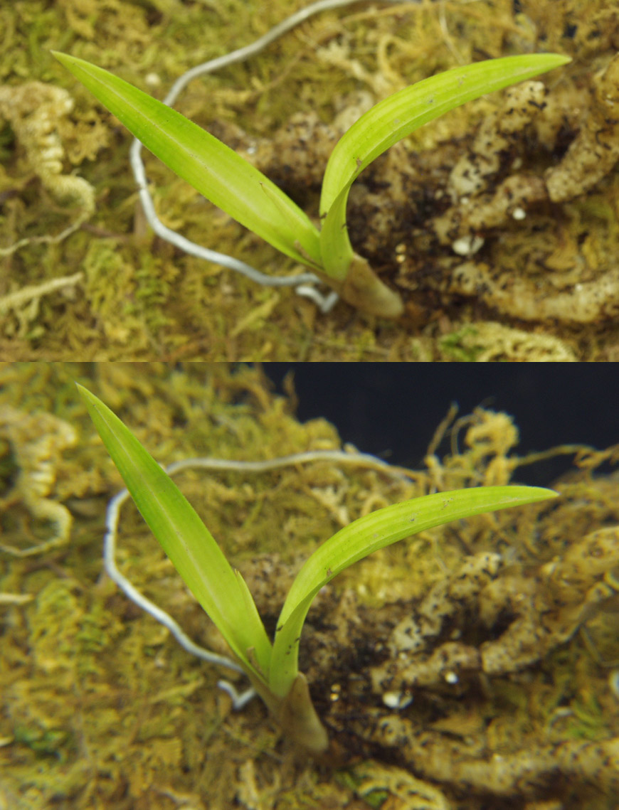 ������ ū������ �� �� �ֽ��ϴ�.