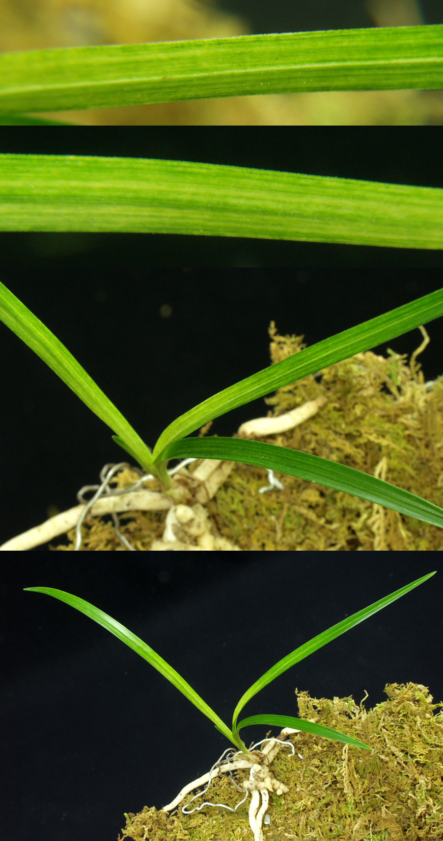 ������ ū������ �� �� �ֽ��ϴ�.