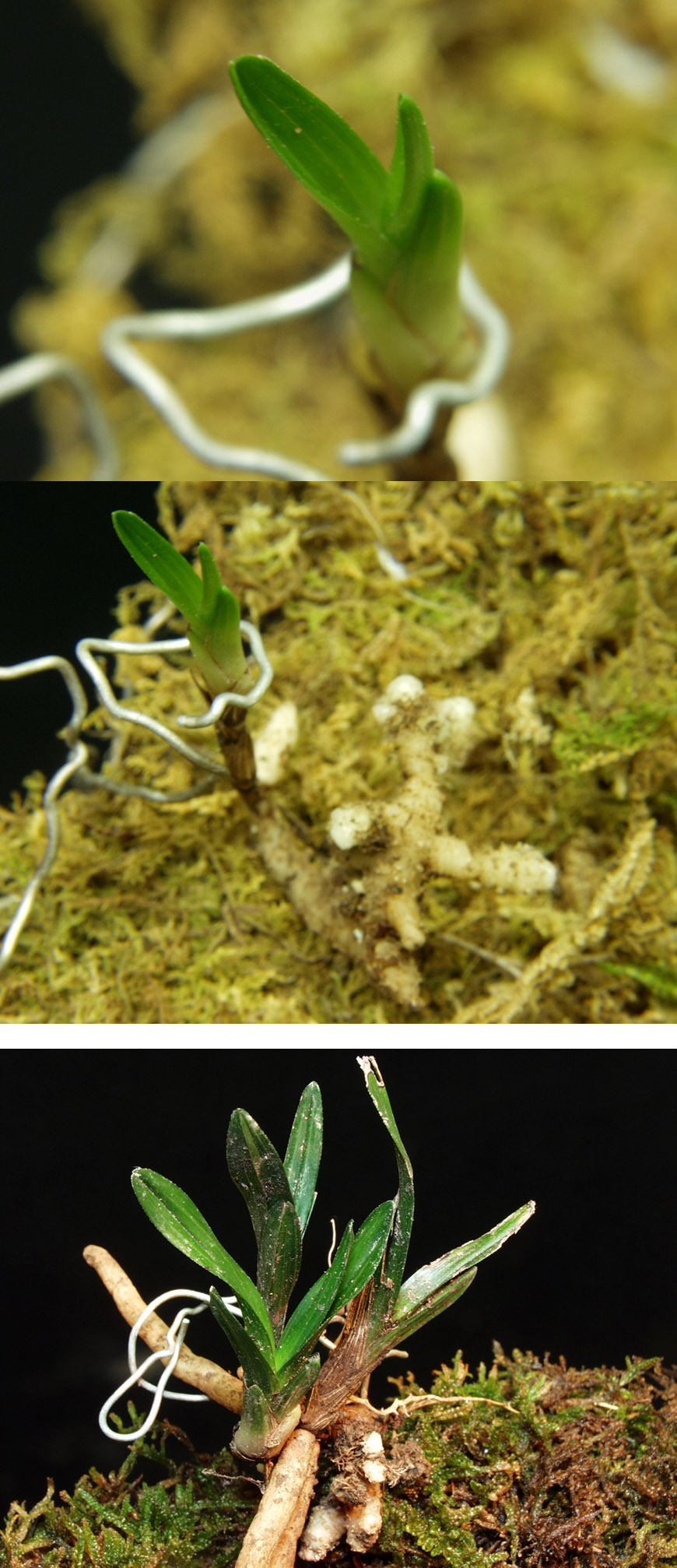 ������ ū������ �� �� �ֽ��ϴ�.