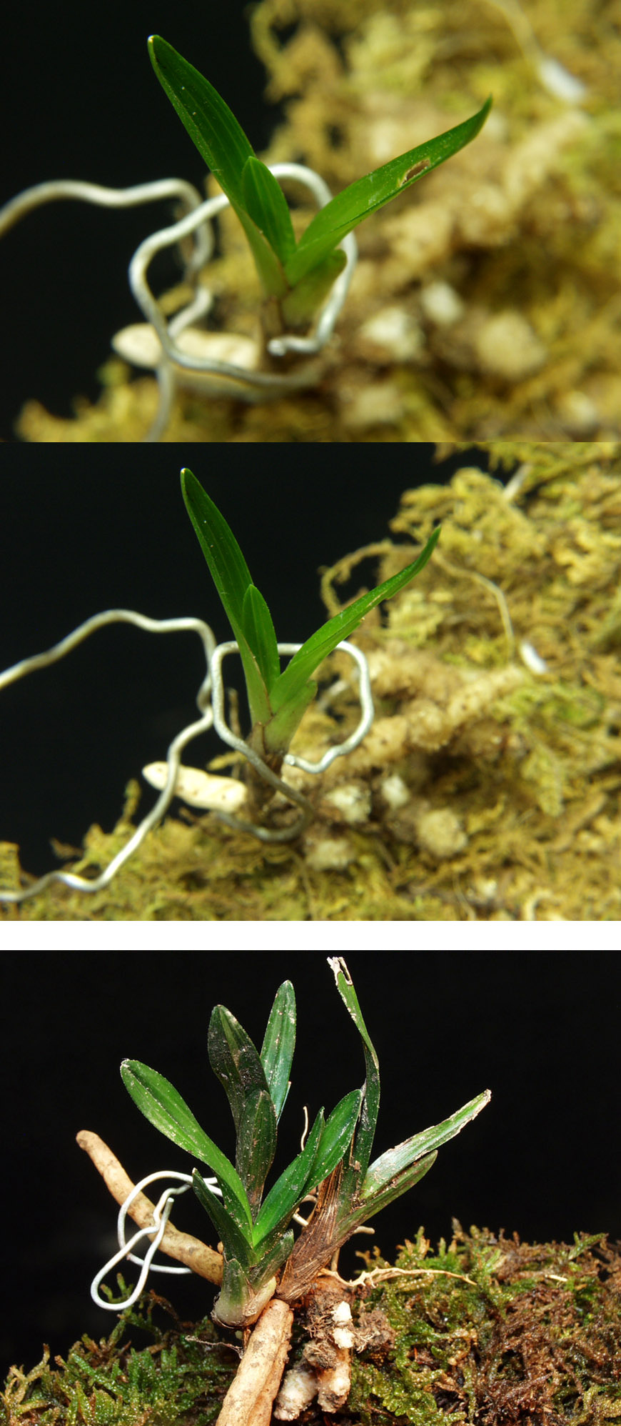 ������ ū������ �� �� �ֽ��ϴ�.