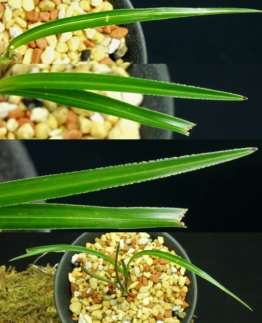 ������ ū������ �� �� �ֽ��ϴ�.