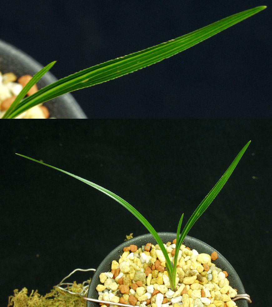 ������ ū������ �� �� �ֽ��ϴ�.