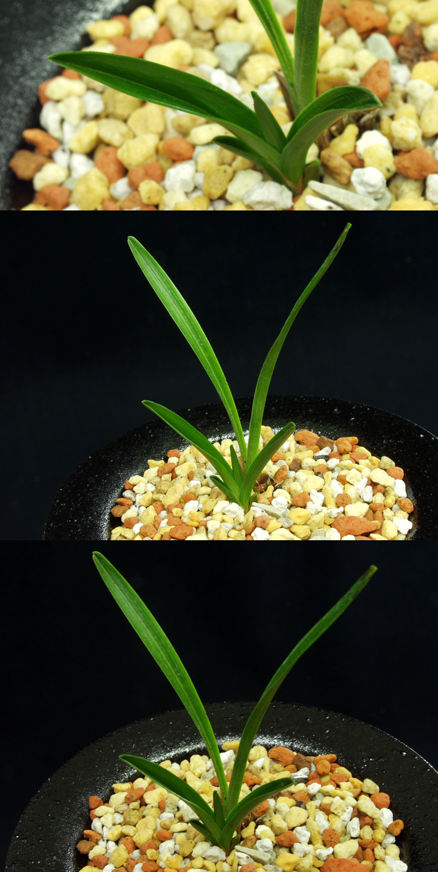 ������ ū������ �� �� �ֽ��ϴ�.