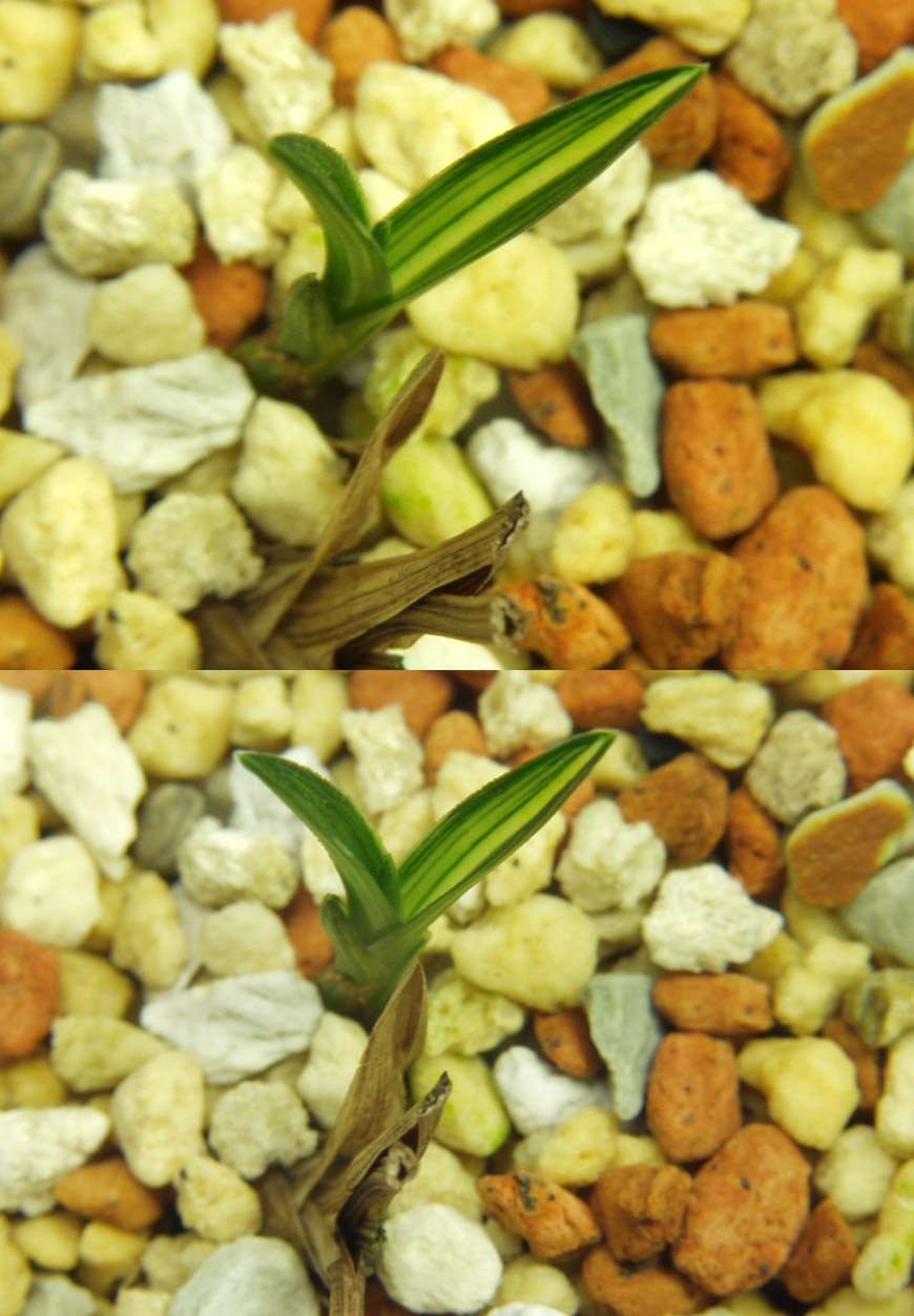 ������ ū������ �� �� �ֽ��ϴ�.