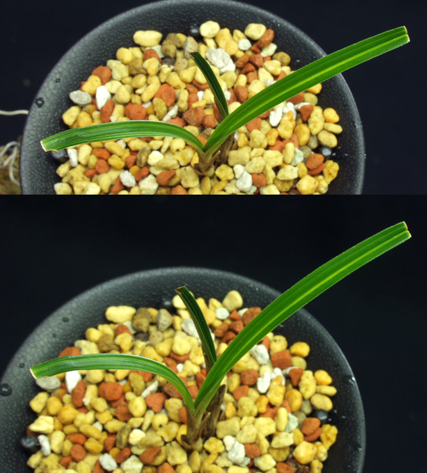 ������ ū������ �� �� �ֽ��ϴ�.