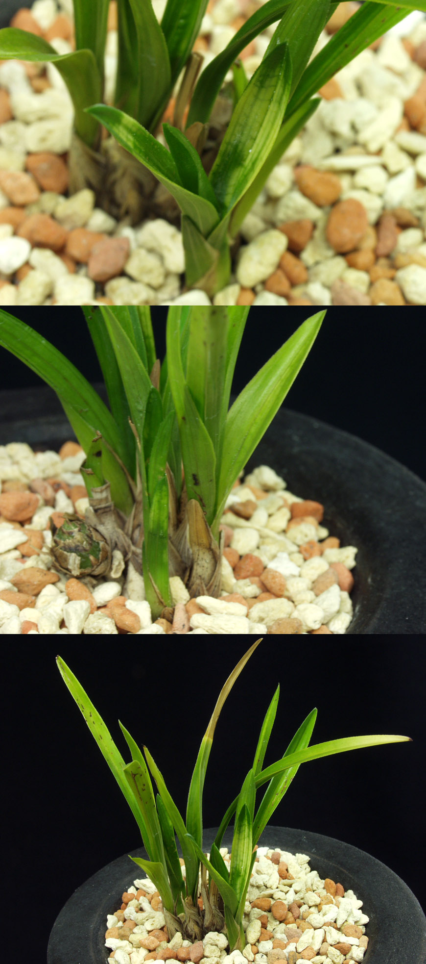 ������ ū������ �� �� �ֽ��ϴ�.