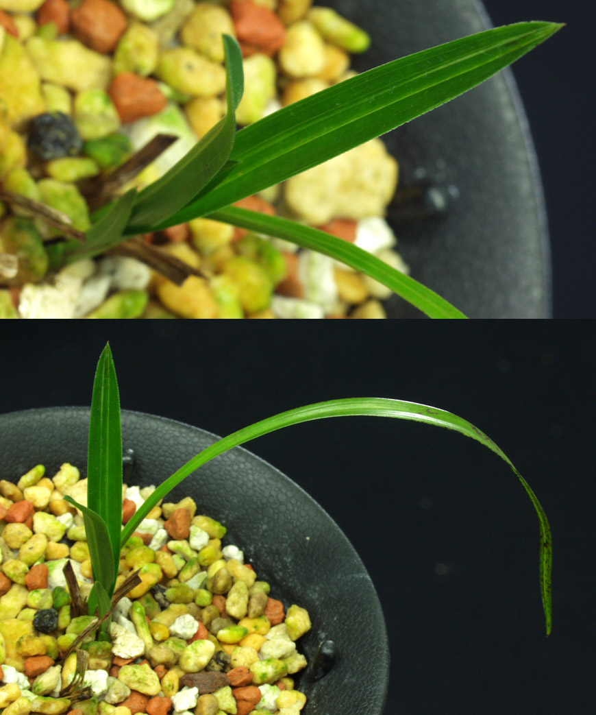 ������ ū������ �� �� �ֽ��ϴ�.