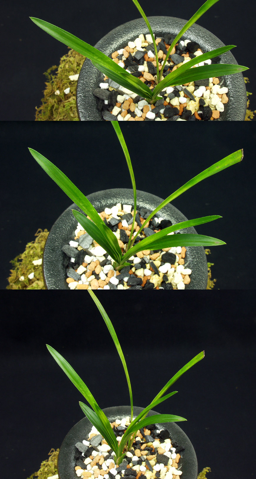 ������ ū������ �� �� �ֽ��ϴ�.