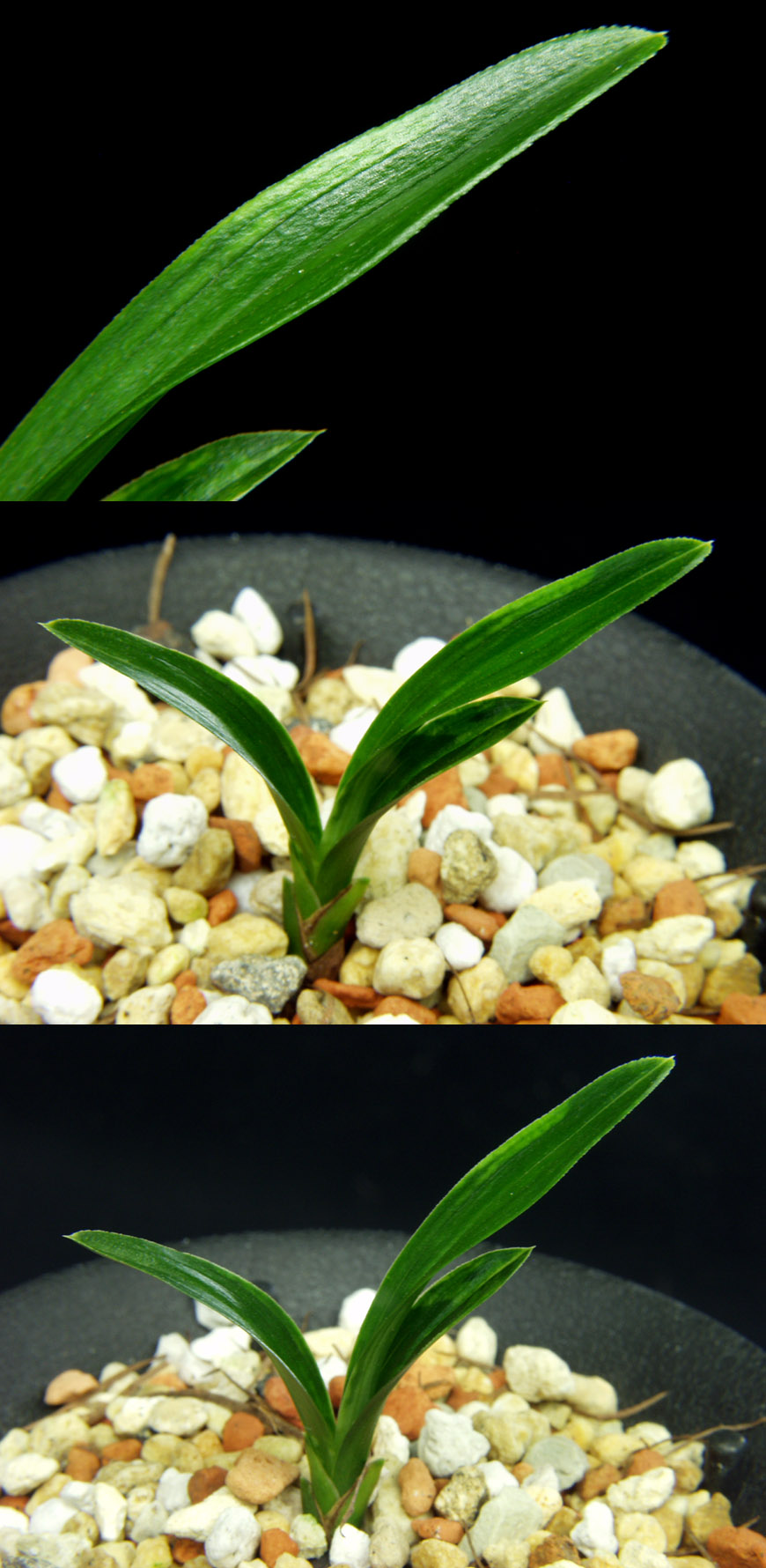 ������ ū������ �� �� �ֽ��ϴ�.