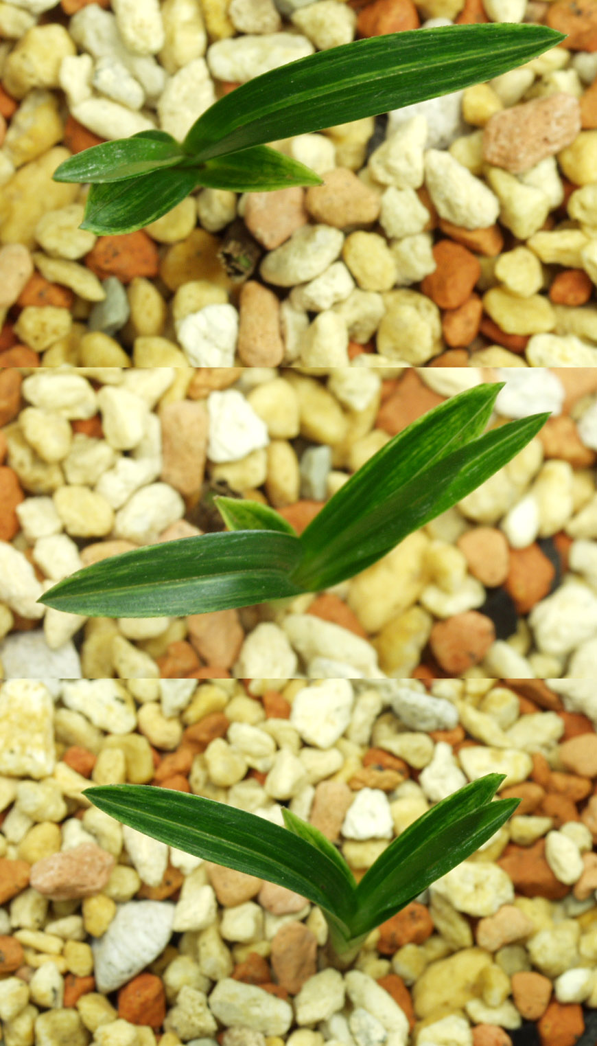 ������ ū������ �� �� �ֽ��ϴ�.