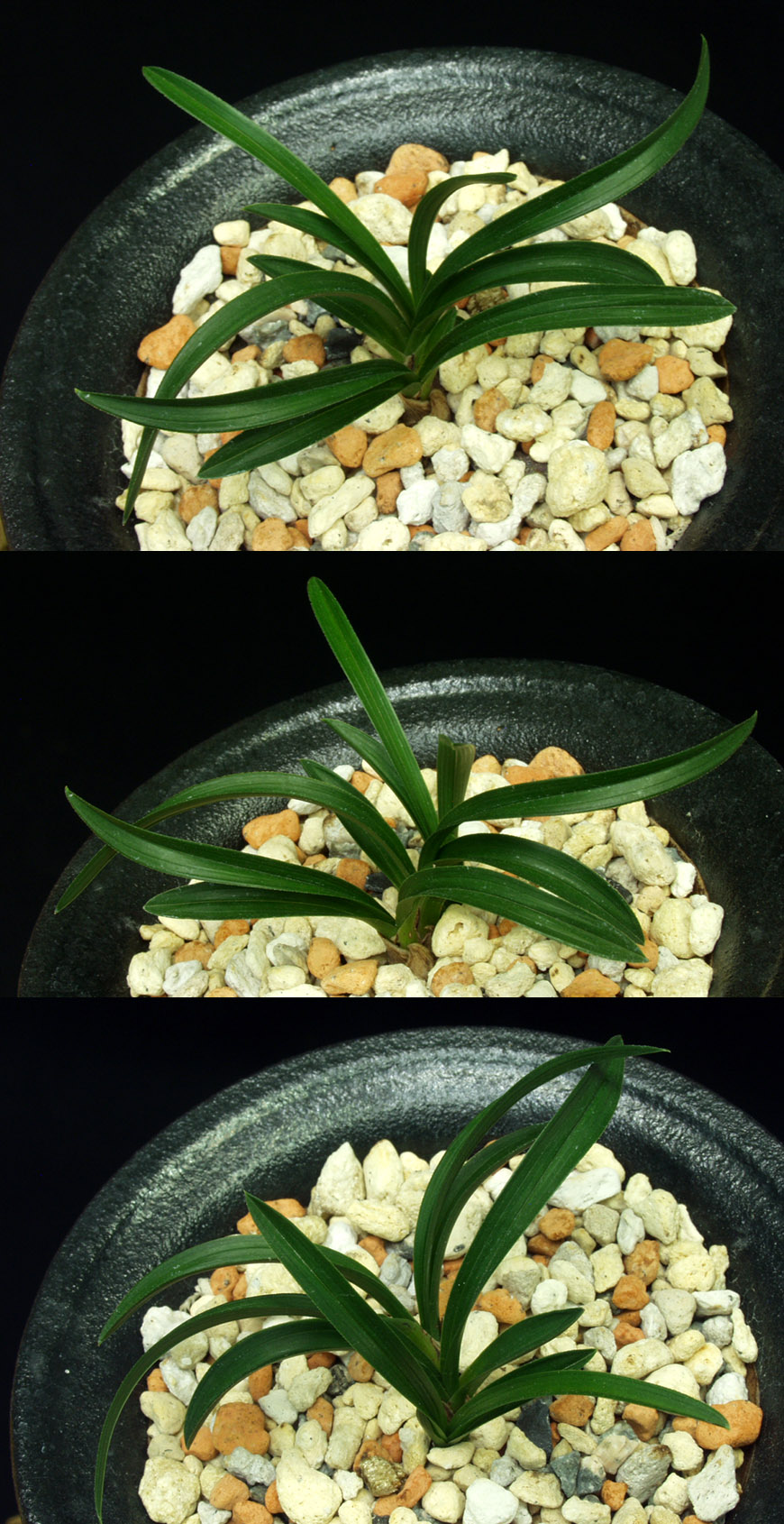 ������ ū������ �� �� �ֽ��ϴ�.