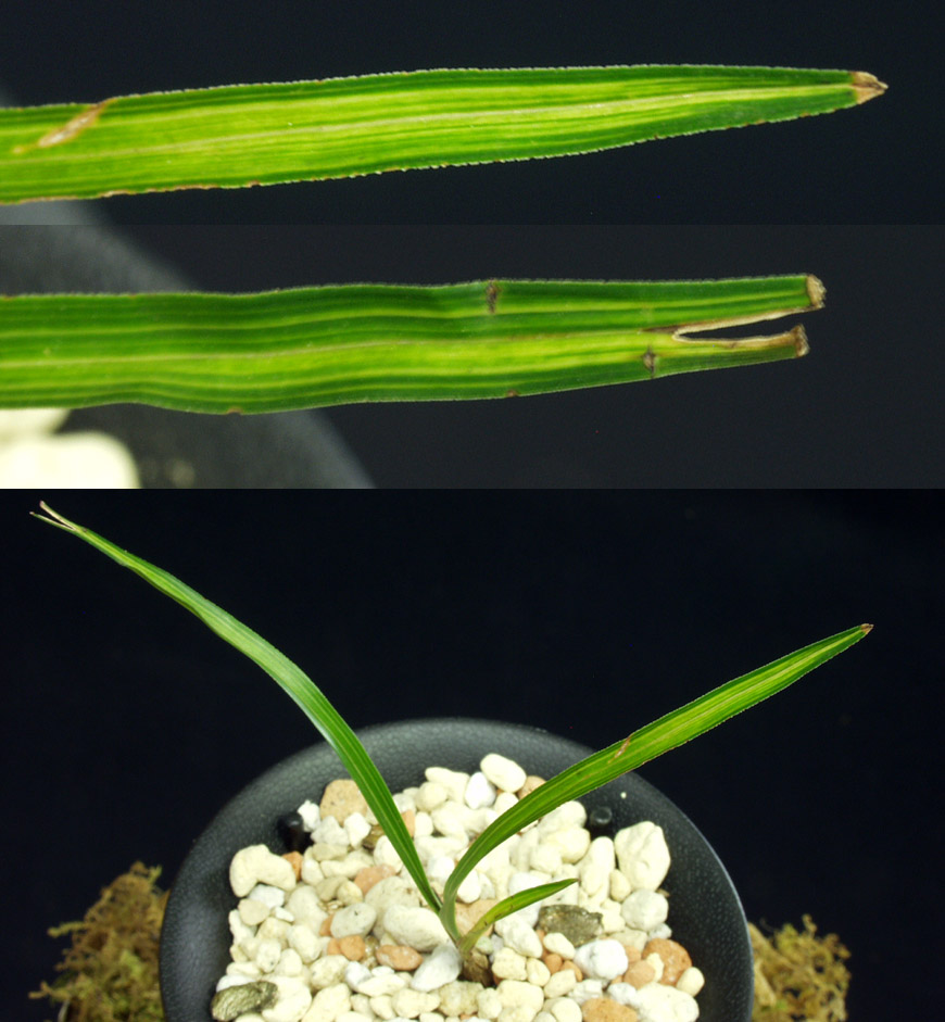 ������ ū������ �� �� �ֽ��ϴ�.