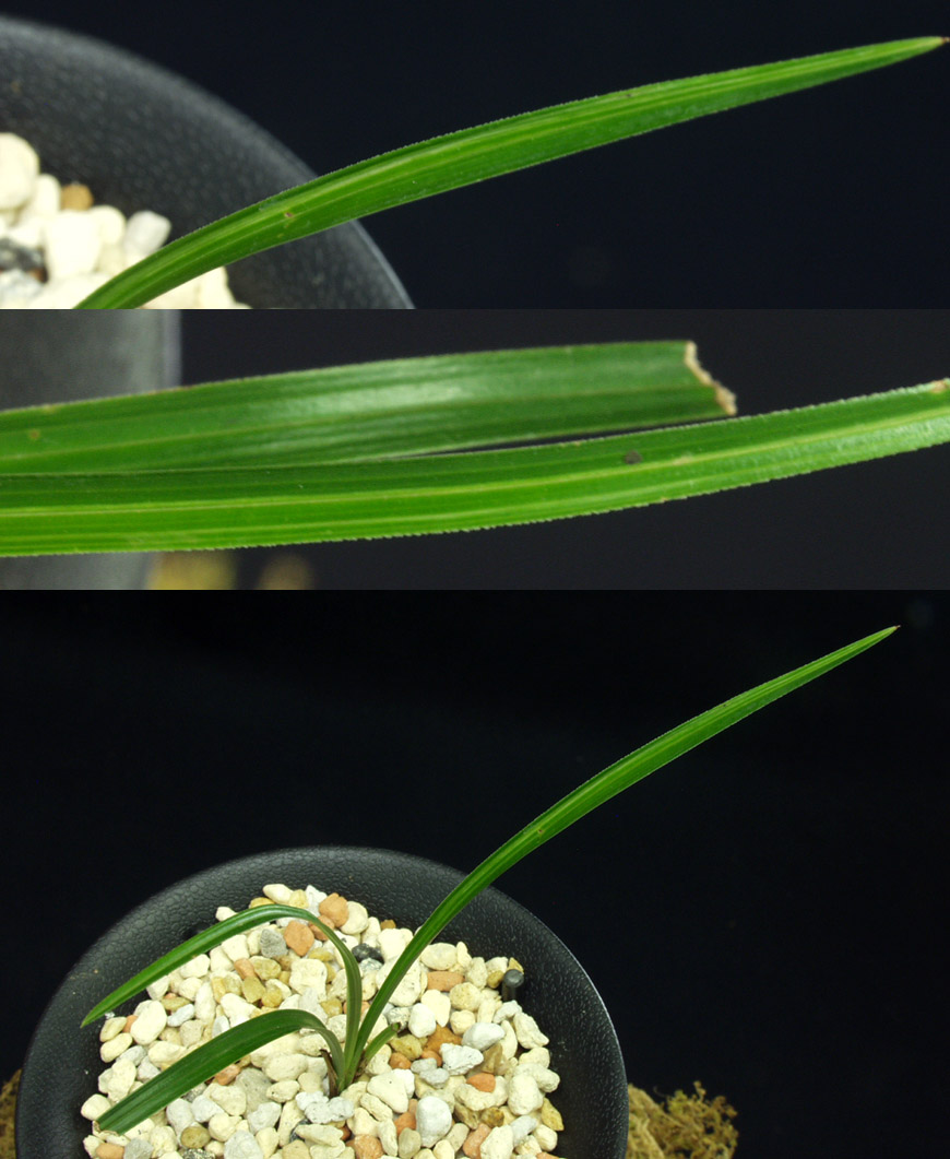 ������ ū������ �� �� �ֽ��ϴ�.