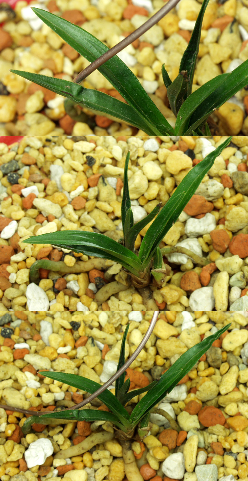 ������ ū������ �� �� �ֽ��ϴ�.