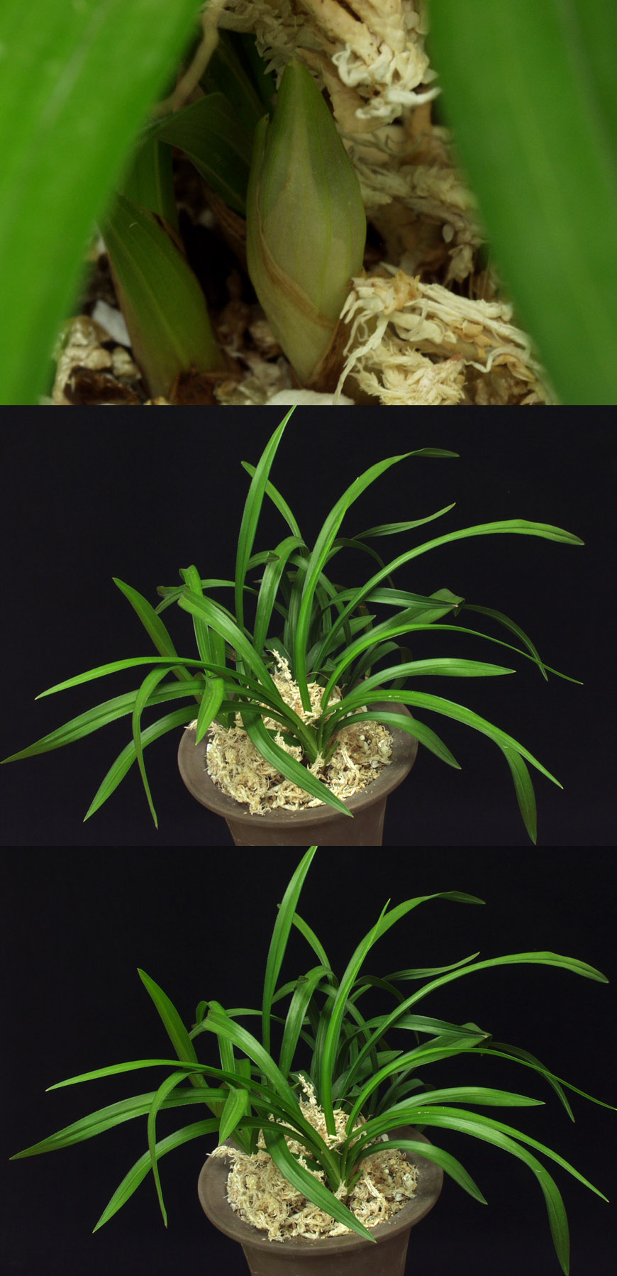 ������ ū������ �� �� �ֽ��ϴ�.