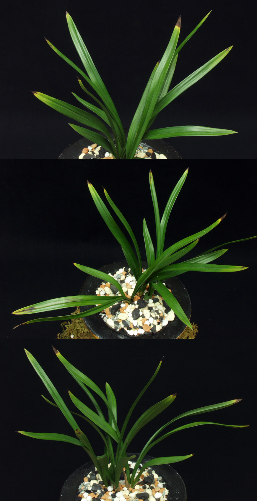 ������ ū������ �� �� �ֽ��ϴ�.