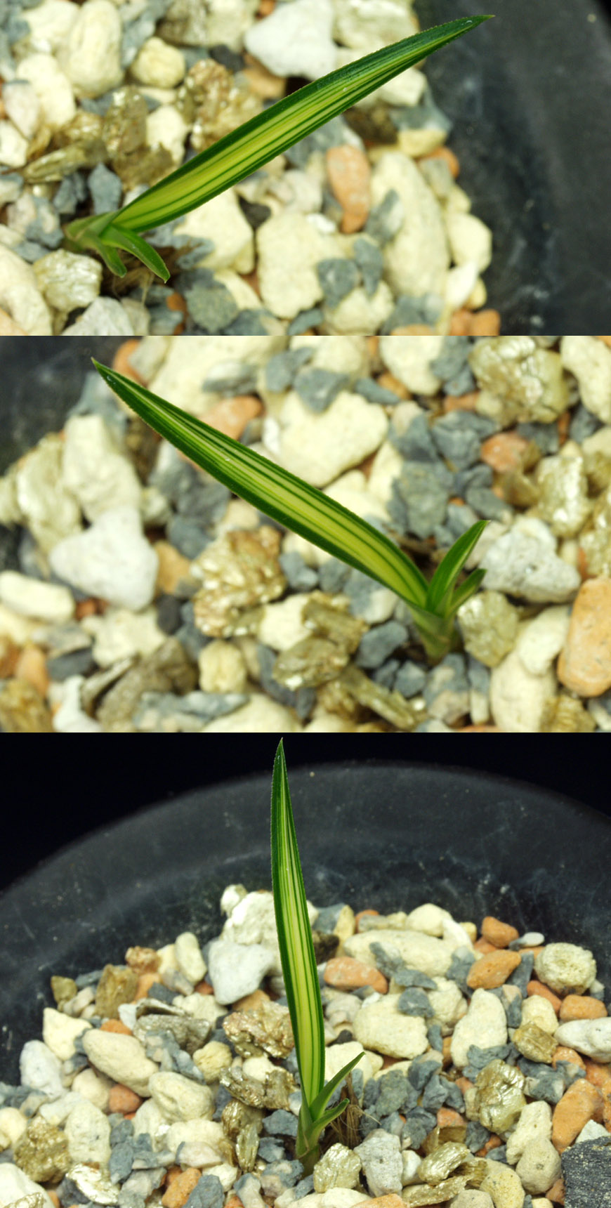 ������ ū������ �� �� �ֽ��ϴ�.