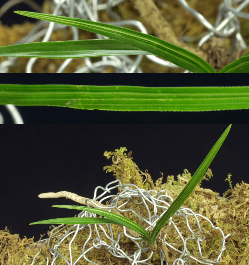 ������ ū������ �� �� �ֽ��ϴ�.