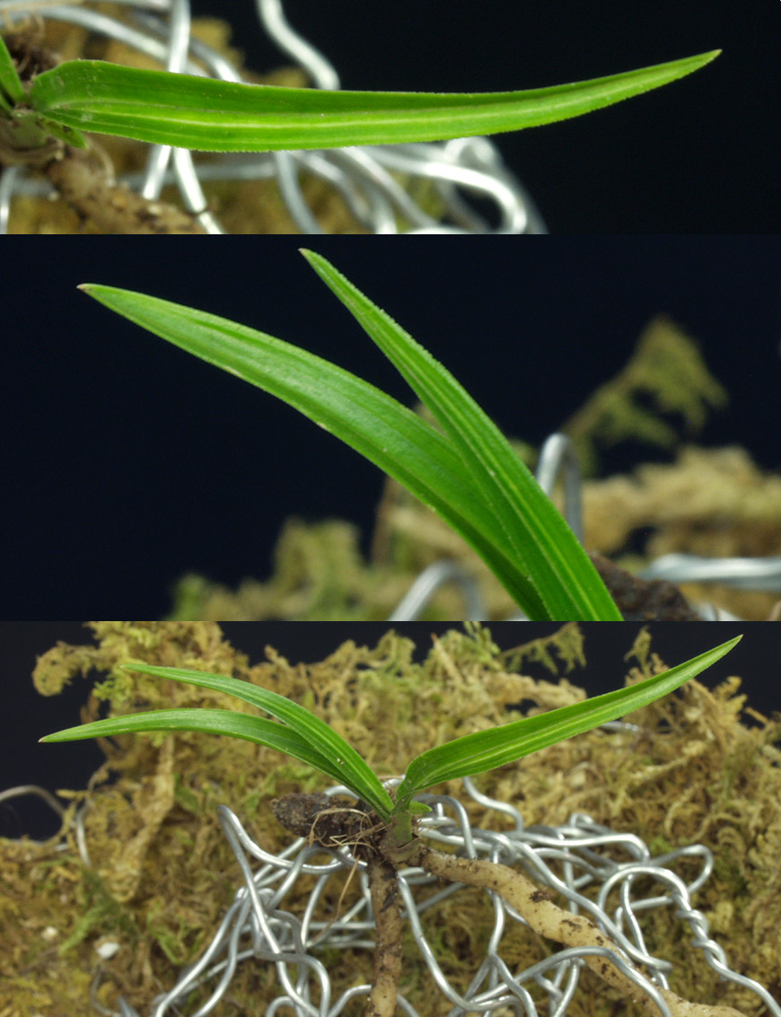 ������ ū������ �� �� �ֽ��ϴ�.