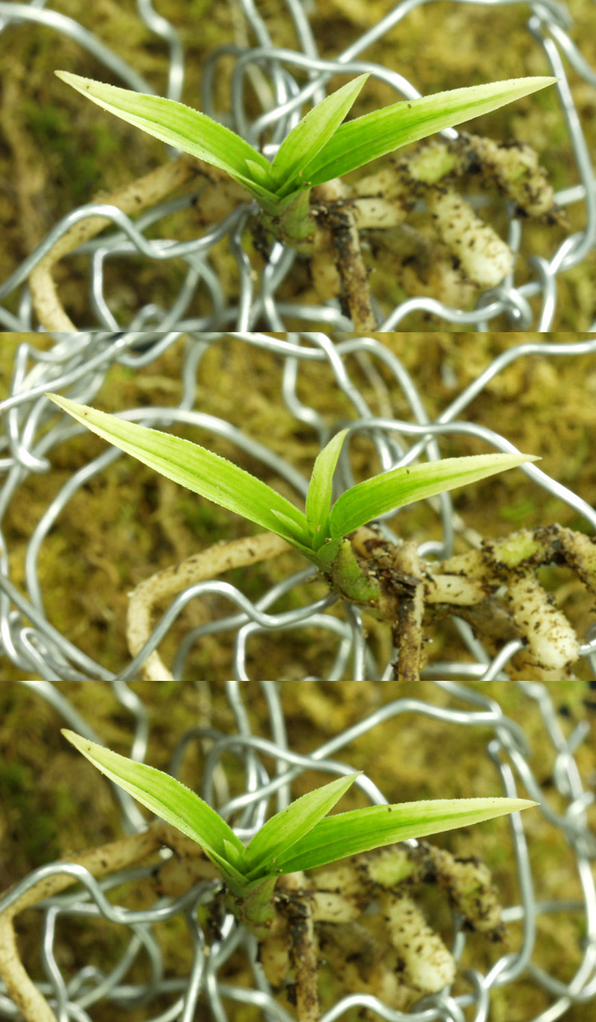 ������ ū������ �� �� �ֽ��ϴ�.