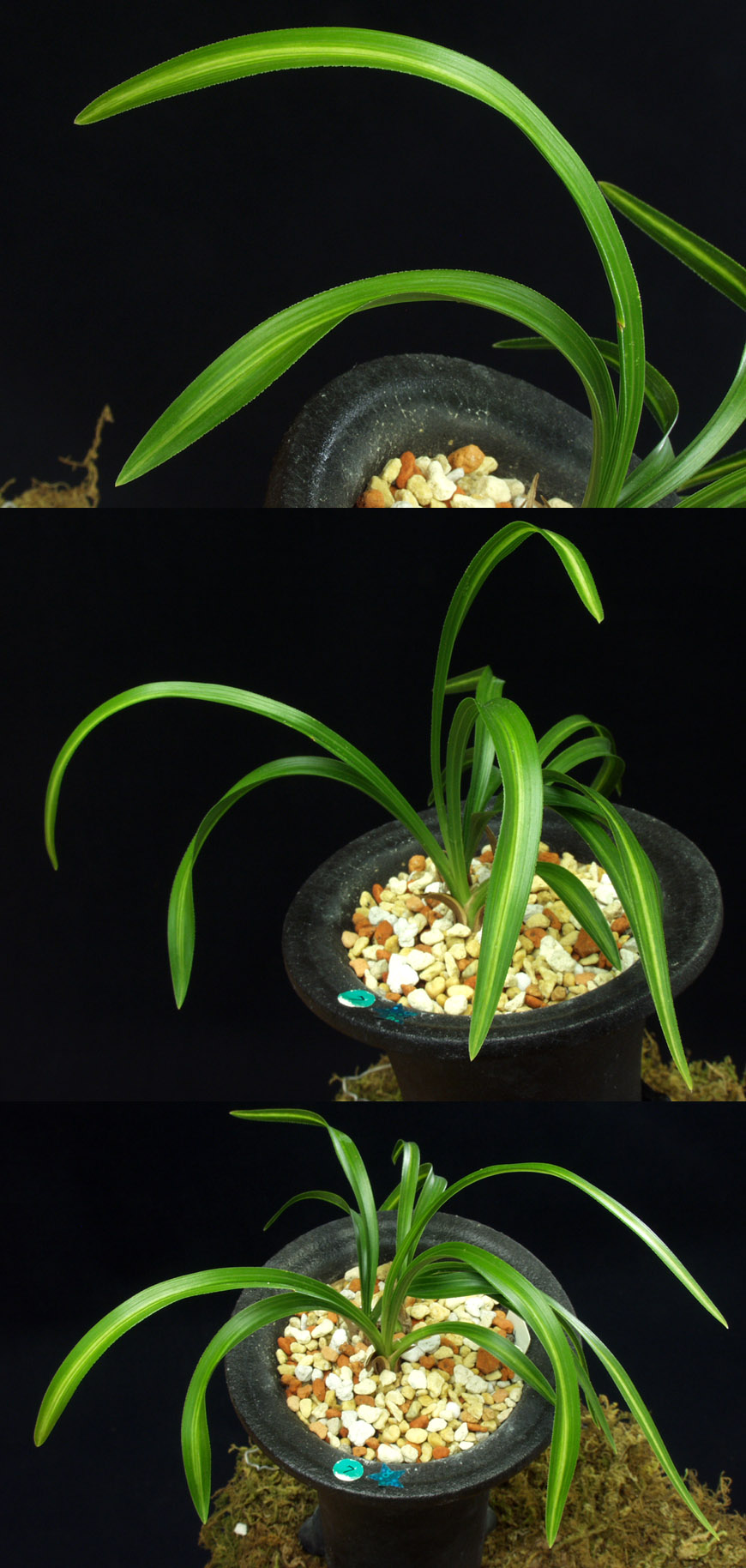 ������ ū������ �� �� �ֽ��ϴ�.