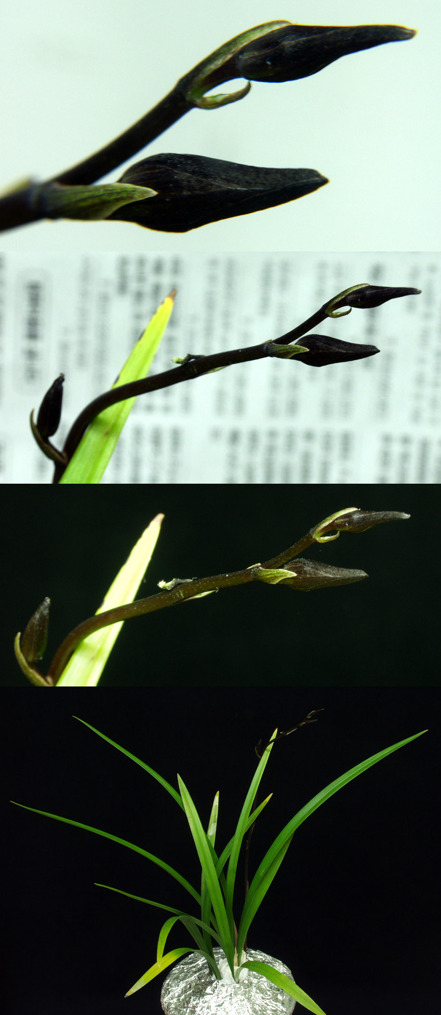 ������ ū������ �� �� �ֽ��ϴ�.