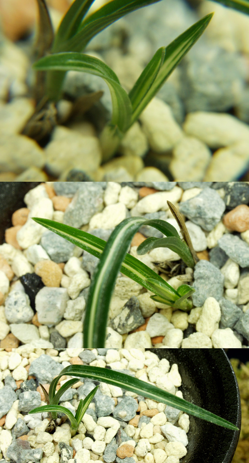 ������ ū������ �� �� �ֽ��ϴ�.