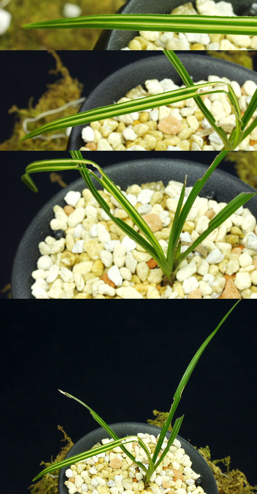 ������ ū������ �� �� �ֽ��ϴ�.