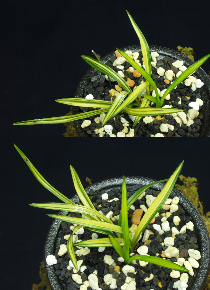 ������ ū������ �� �� �ֽ��ϴ�.